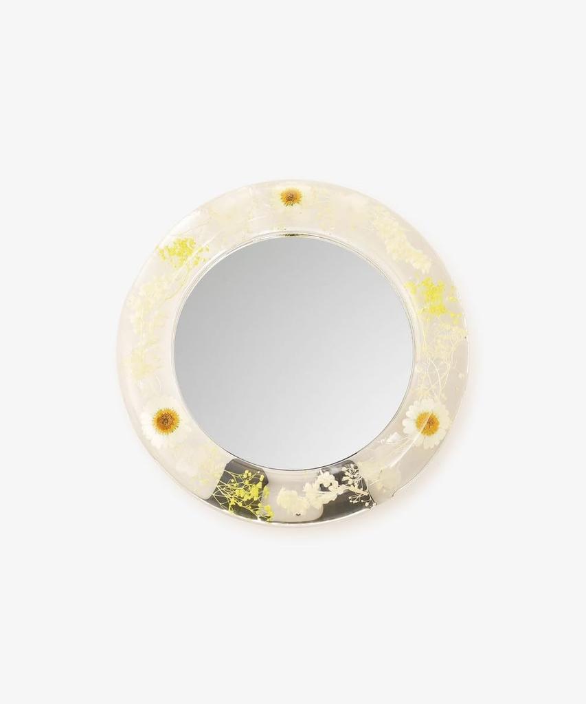 Afternoon Tea Living HR33 Botanical Mirror, Pink