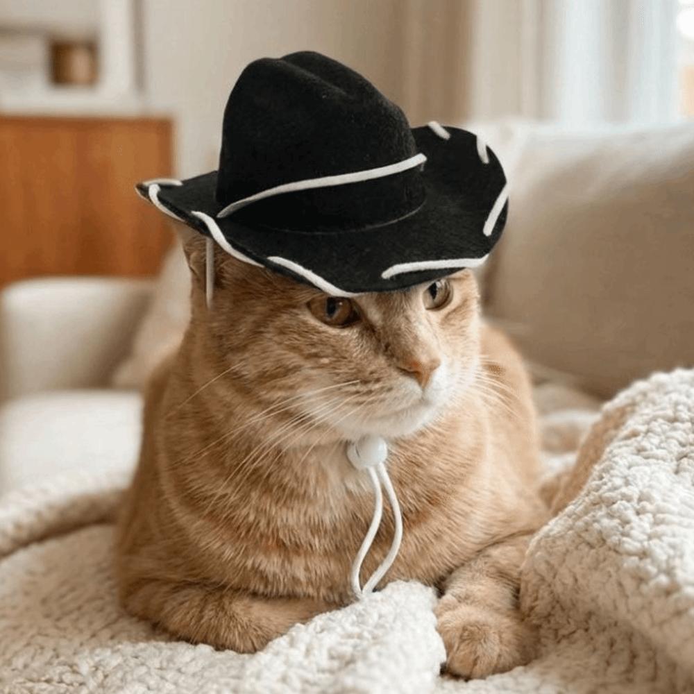Breathable Pet Dog Sun Hat Handmade Stitched Dog Visor Cat Funny Cat Sunscreen Hat  Travel Use