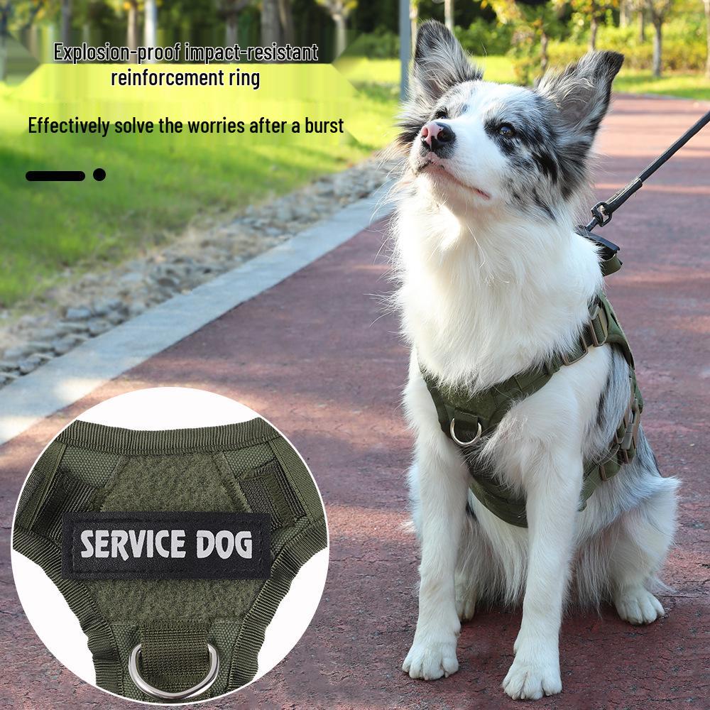 Water-Repellent Tactical Dog Harness & Leash for Medium/Large Dogs
