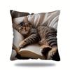Contemporary Dozing Kitten Square Pillow Cover Cute Cat Sleeping on Open Book Pillowcase Decorative Cushion Case Home Decor