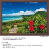 YANOMAN In Jigsaw Sea and Summer Ishigaki Island Includes Piece Request Service and Jigsaw Puzzle Instruction Manual [Made Japan] 500-piece Puzzle,
