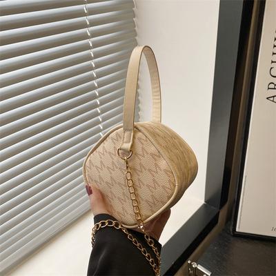 Mini Small Bag Bag Women's 2025 New Fashion High-end Handbag Texture Messenger Bag Foreign Shoulder