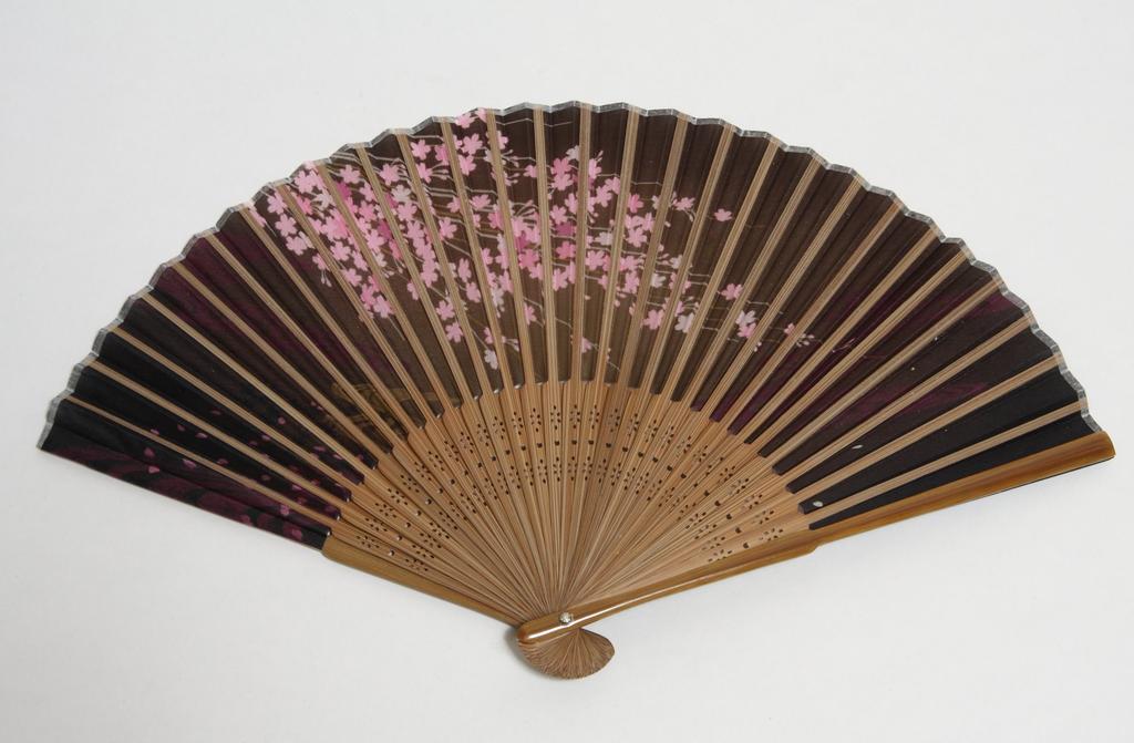 Hasegawa Silk Fan with Fan Pouch and Box Women's (Elegant)
