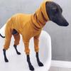 Moda a quattro zampe costola vestiti per cani dolcevita maglione per animali domestici per Whippet levriero italiano pullover invernale tuta per cani di grossa taglia