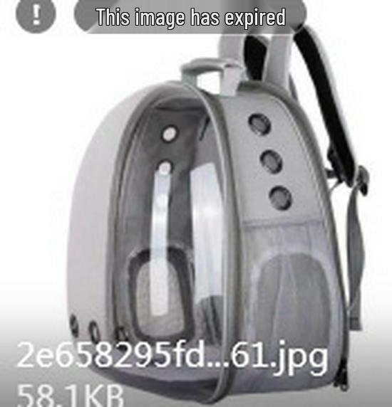 Transparent Portable Pet Backpack - Breathable Double Shoulder Travel Carrier for Cats