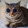 1 Stück Hunde Sonnenbrille Katze Haustier Produkt Lieblich Vintage Rund Reflexion Augenbekleidung Brille Kleiner Hund Katze Haustier Foto Requisiten Zubehör
