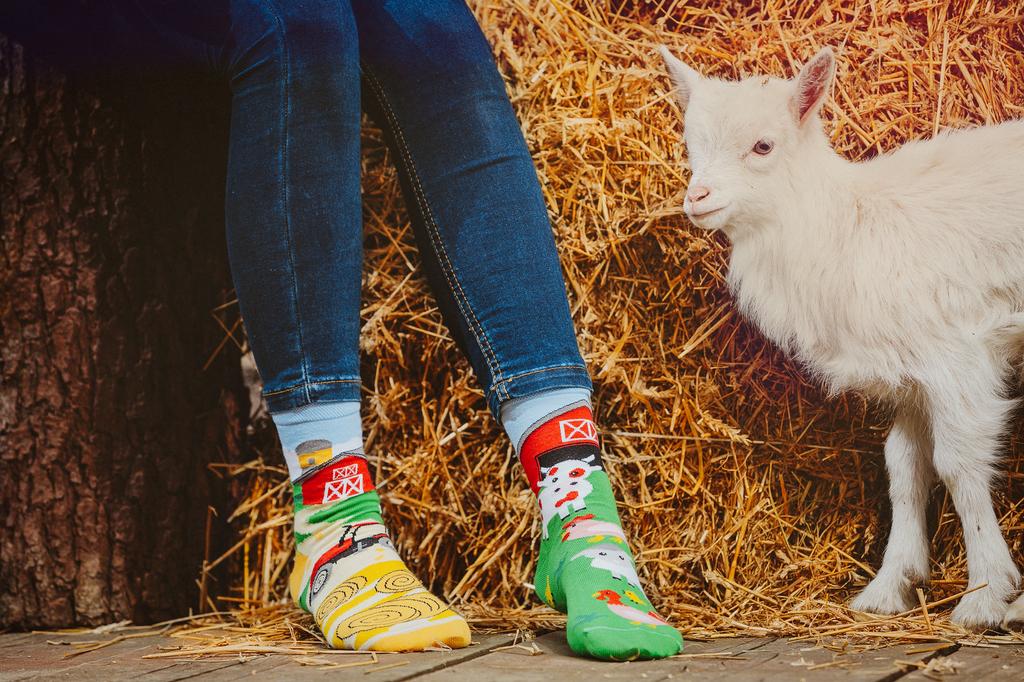 Farm - Colorful Socks 36-39