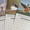 Calendar Păsări Extrem de Precis Pentru 2025 - Calendar Păsări 2025 Calendar de Perete