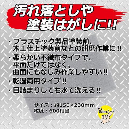 E-Value Nylon Abrasive Scrubber, 150 X 230 Mm, #600, for Dry and Wet Use