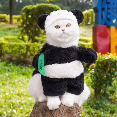 Kedi – Kediler için giyim