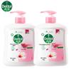 Dettol Moisturizing Antibacterial Hand Wash Twin Pack (2x450g)