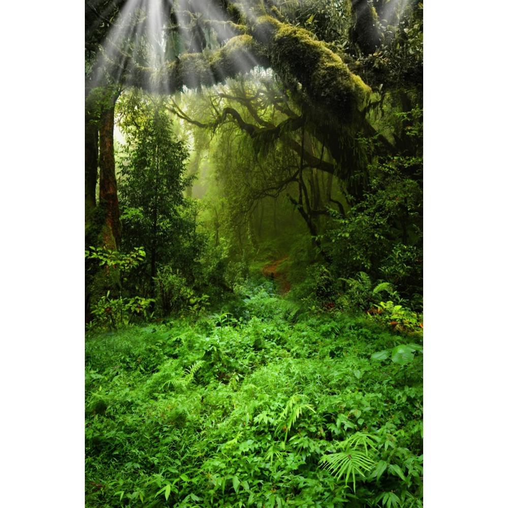 Spring Natural Scenery Forest Photography Backdrop Tropical Jungle Green Forest Tree Adventure Baby Portrait Photo Background
