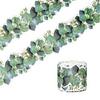 49ft Border Trim for Bulletin Board, Notice Board, Classroom Chalkboard Decoration, Plant Leaf Bulletin Board Border