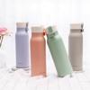 LOCK&LOCK Stylish Insulated Thermos Bottle 500ml
