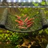Wall Mount Shelf Set for Ornamental Shrimp, Suction Cup Rest Shelf for Small Glass Habitats, 2 Piece Plastic Water Habitat Accent
