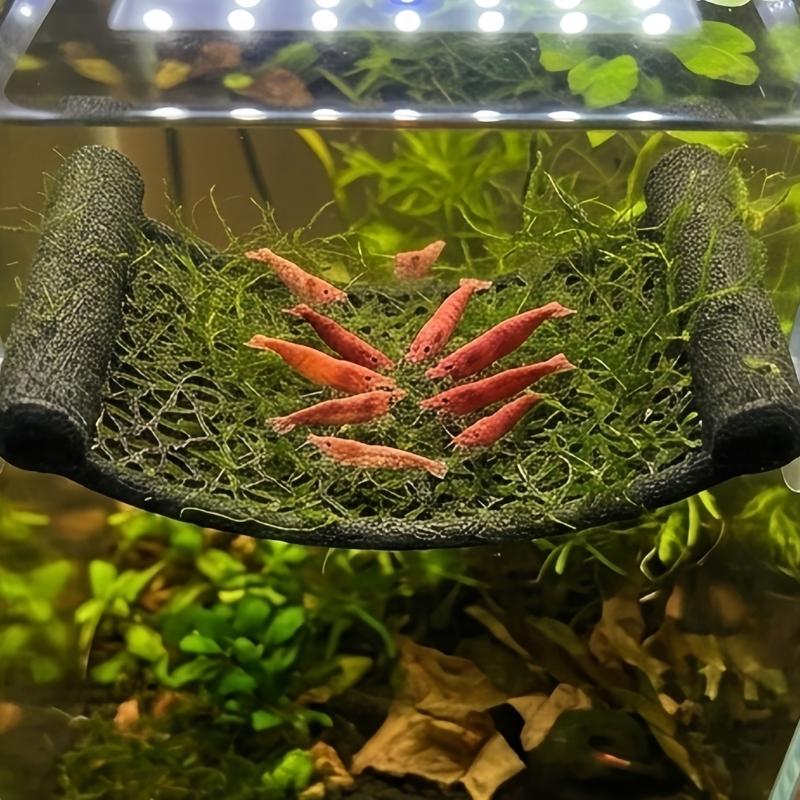 Wall Mount Shelf Set for Ornamental Shrimp, Suction Cup Rest Shelf for Small Glass Habitats, 2 Piece Plastic Water Habitat Accent