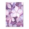 Lienzo Pintura Morado Flores Lila Lavanda Póster Bicicleta Paisaje Rural Imagen Decoración Pared Hogar Dormitorio Fondo