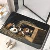 Guinea Pig Hay Box Print Doormat Non Slip Washable Entrance Rug Indoor Front Door Floor Mat Home Decor