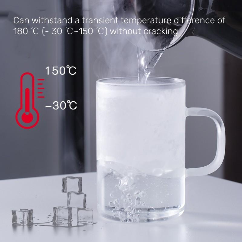 Samadoyo Heat Resistant Filter Glass Tea Cup Water Cup Personal Cup 500ml 350ml