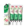 HAOLAI CHABEIJIAN First-Extract Tea White Peach Toothpaste, 3 X 160g