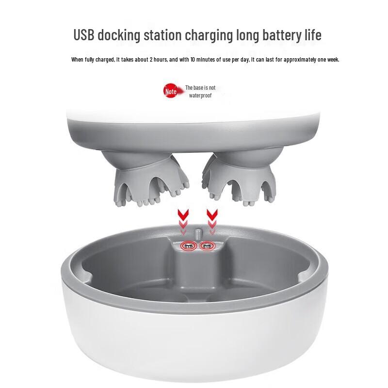 Shangheng SHZH-JKT002 Upgraded Wet & Dry Head Massager CN Plug (adapter Included)