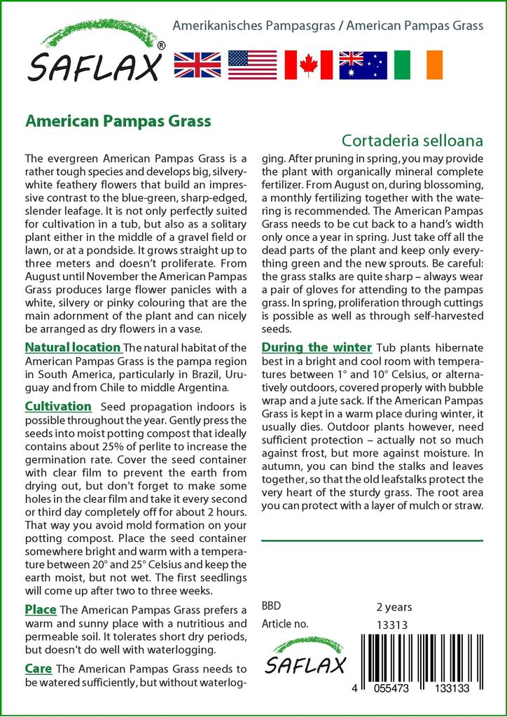 SAFLAX Erba della Pampa Americana - 200 semi - Cortaderia selloana
