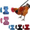 Chicken Harness and Leash for Pet Rooster