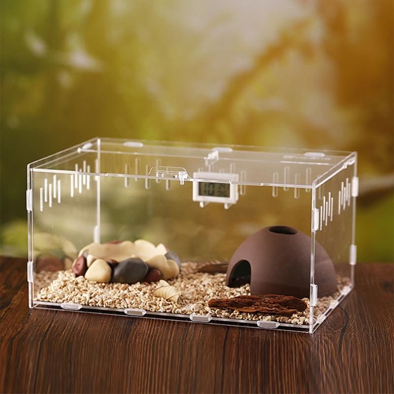 Reptiles Feeding Box Breeding Cases Portable Acrylic Terrarium Clear Insect Habitat for Mini Lizards Pet Centipedes