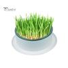 Grass Planting Box Reusable Hydroponic Cat Grass Planting Box Durable Convenient Grass Growing Box for Home