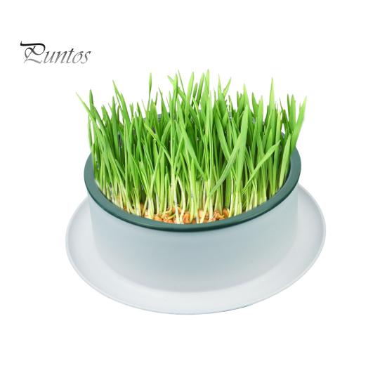 Grass Planting Box Reusable Hydroponic Cat Grass Planting Box Durable Convenient Grass Growing Box for Home