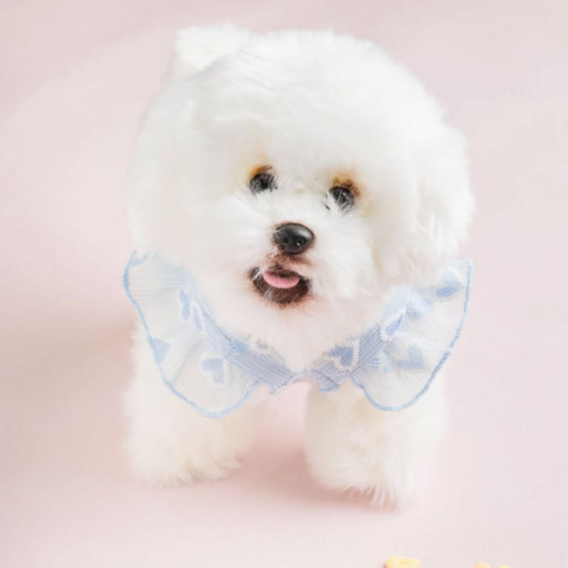 [Pet] Heart See-Through Crop Tee M