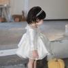 High-End Princess Birthday Dress - Puffy Cake Skirt for Girls