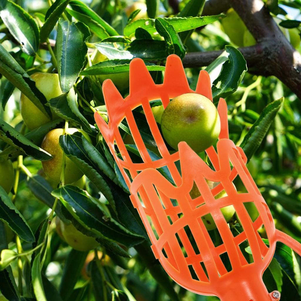 2Pcs Fruit Picker Replacement Heads Secure Attachment Creative Fruit Harvesting Tool Basket Without Pole for Arbutus Pear Peach