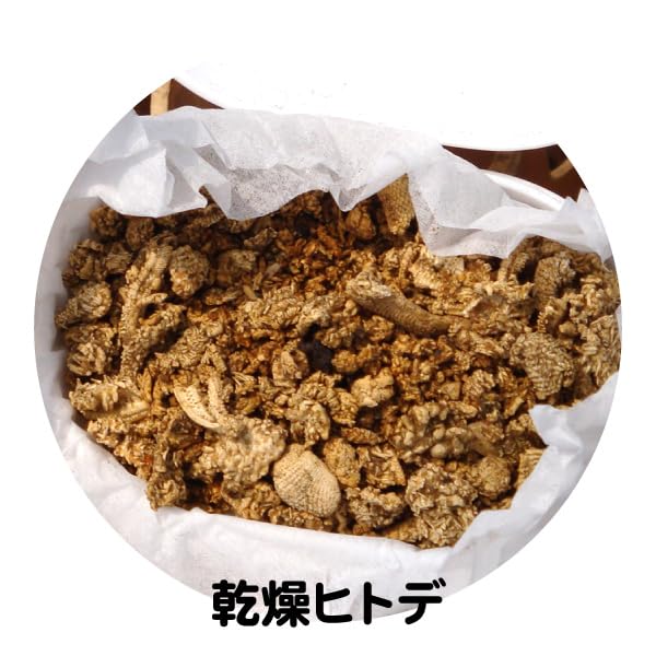 Green Power Natural Starfish Repellent 20L for Wild Palm and Raccoon Bird and Animal Control Co., Ltd. [Marine Star] Boar, Deer, Civets, Dogs, (20L