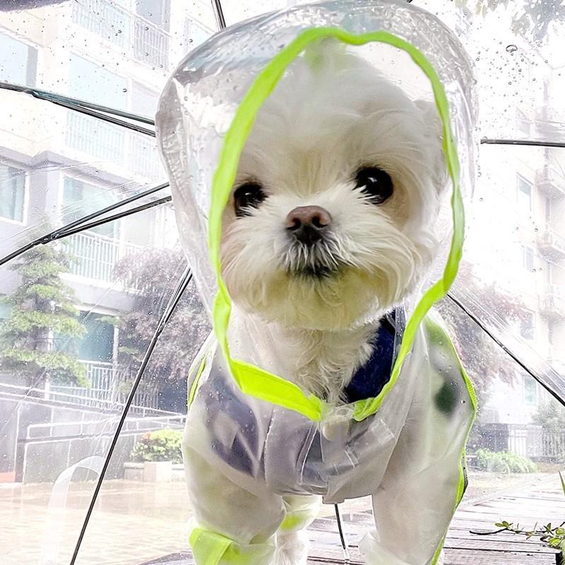 Bichon Frise Dog Raincoat: Full-Coverage, Waterproof, Four-Legged with Tail-Connected Design for Medium and Small Dogs
