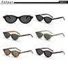 CATERSIDE Retro Oval Sunglasses for Women Men Tr Frame Acetate Pin Leg Polarized UV400 Protection Fashion Cat Eye Sun Glasses