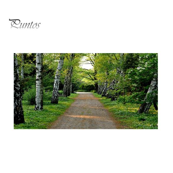 Fluorescent Light Cover with 10 Magnets Exquisite Pattern Easy Installation Fluorescent Light Filter Magnetic Ceiling Light Cover