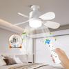 Oeny 5-Blade Minimalist Ceiling Fan with Light