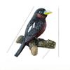 Bird Wall Hook Entryway Decor With Durable Resin Design Great For Organizing
