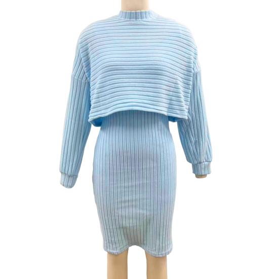 2 Stück/Set Damen Oberteil Kleid Anzug Stehkragen Faden Langarm Pullover