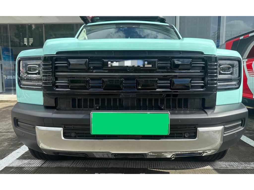 Haval Menglong Energy 26 Insect & Debris Protection Net for Front Grille