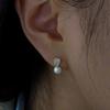 14K Freshwater Pearl Clair Cubic Earrings