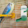 10pcs Automatic Drinking Bowls Water Feeders for Pigeons and Parrots Design for Birds Convenient Home Decor Water Dispenser