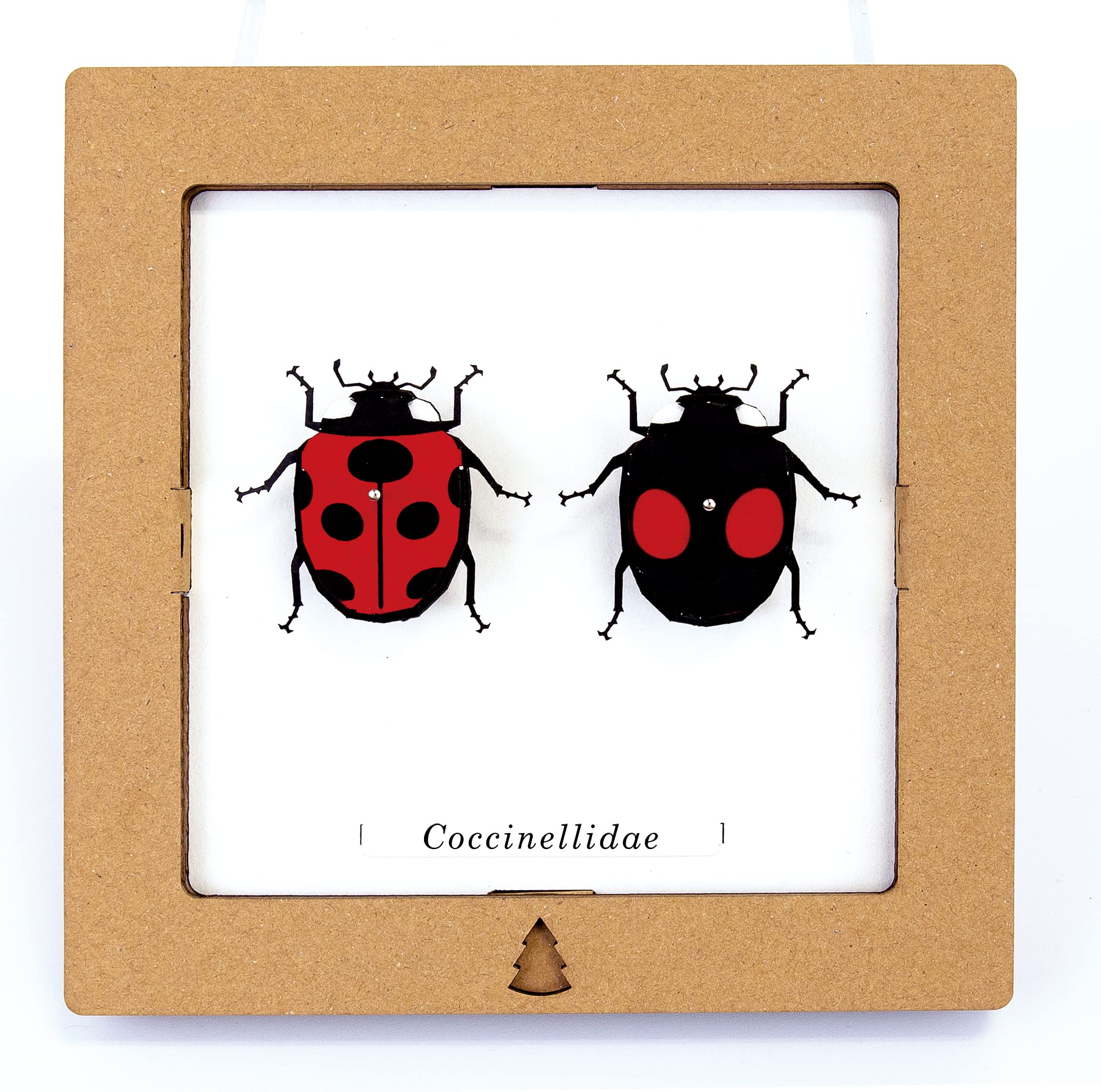 

Bogcraft Design Accessories Ladybug Assembled Interior SQAR Square