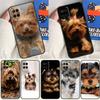 Yorkshire Terrier Dog For Oppo A54 A57 S A78 A58 A98 A5 A9 A91 A15 A16 A17 A52 A72 A76 A96 A74 A94 A77 Phone Case