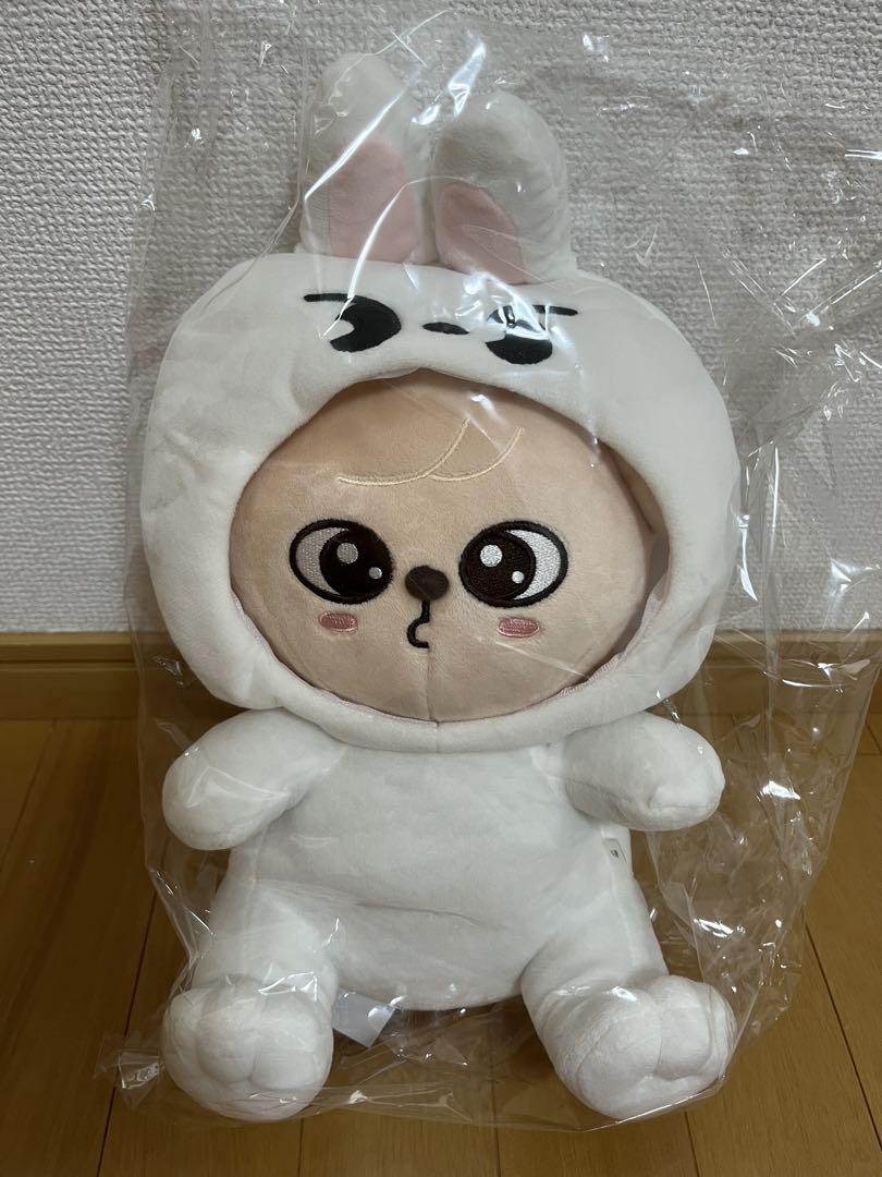 

[Б/У] StrayKids SKZOO Сынмин Щенок Плюшевая игрушка