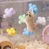 Produtos para animais – Roedores