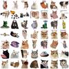 50 Cartoon Cat Terrier Collection Graffiti Stickers Decorative Guitar Notebook Suitcase DIY Waterproof