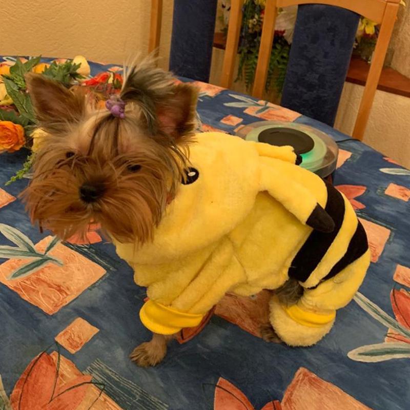 Zimowy Ciepły Kombinezon Piżama dla Kota Psa dla Psów Kreskówkowy Kostium Zwierzęcia Ubranka Yorkshire Shih Tzu Szczeniak Kombinezony mascotas Ubrania