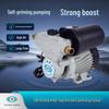 High-Efficiency Self-Priming Automatic Booster Pump
